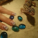 Gecko Nails Gecko