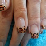 Nagel Motiv